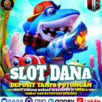 BERMAIN DI AGEN BO TOGEL OKEWLA CUAN ABIS